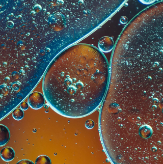 Close-up of oil and water bubbles on a dark surface