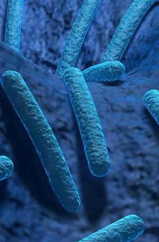 Close-up of blue bacteria-like structures on a textured surface