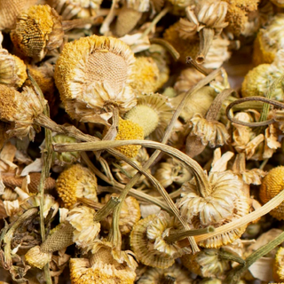 Close-up of dried chamomile flowers and stems.