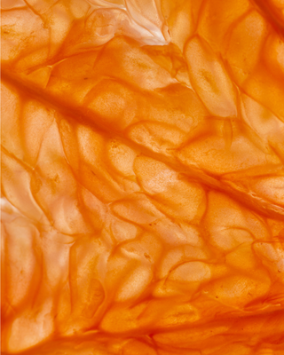 Close-up of a grapefruit with a focus on its textured skin.